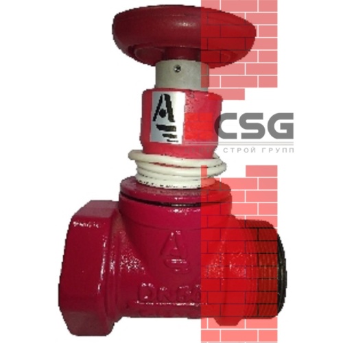 Клапан пожарн чугун прям КПЧП 50-1 Ду 50 1,6 МПа муфта-цапка с датч пол ДППК 24 Апогей 110034, DN 50